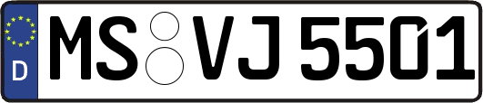 MS-VJ5501