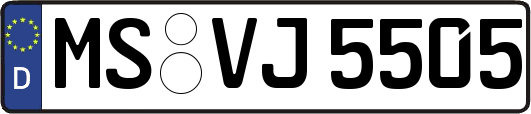 MS-VJ5505