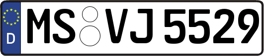 MS-VJ5529