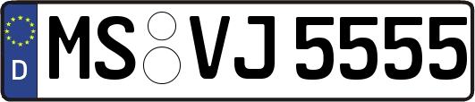 MS-VJ5555