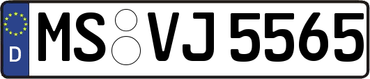 MS-VJ5565