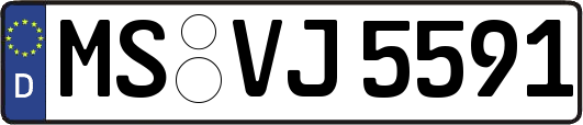 MS-VJ5591