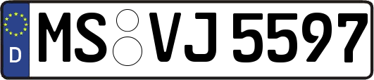 MS-VJ5597