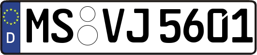 MS-VJ5601