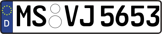 MS-VJ5653