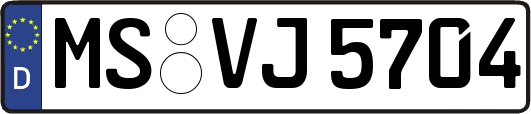 MS-VJ5704