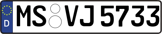 MS-VJ5733