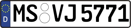MS-VJ5771
