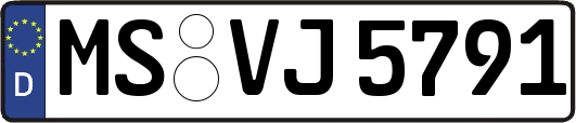 MS-VJ5791