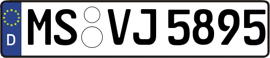 MS-VJ5895