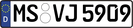 MS-VJ5909