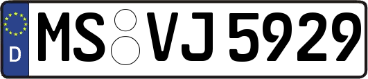 MS-VJ5929