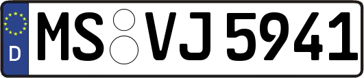 MS-VJ5941