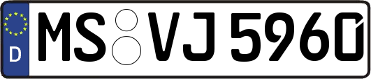 MS-VJ5960