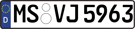 MS-VJ5963