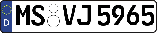 MS-VJ5965