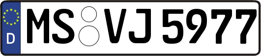 MS-VJ5977