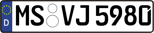 MS-VJ5980
