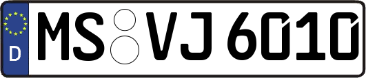 MS-VJ6010