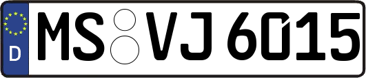 MS-VJ6015