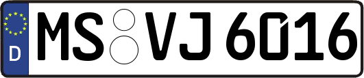 MS-VJ6016