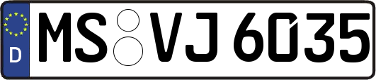 MS-VJ6035