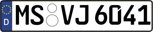 MS-VJ6041