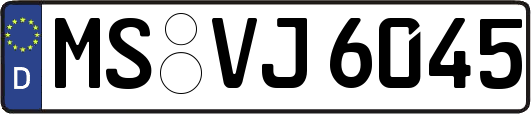 MS-VJ6045