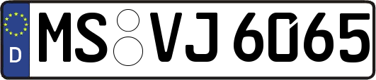 MS-VJ6065