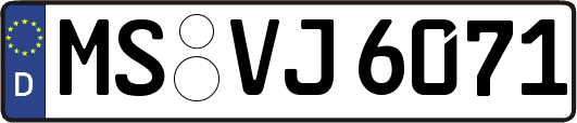 MS-VJ6071