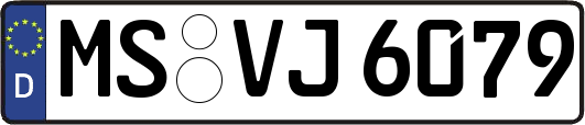 MS-VJ6079