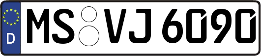 MS-VJ6090