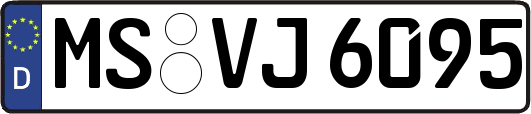 MS-VJ6095