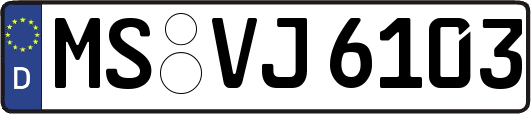 MS-VJ6103