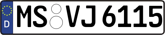 MS-VJ6115