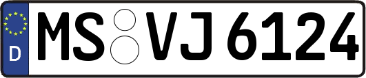 MS-VJ6124