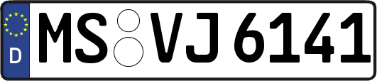 MS-VJ6141