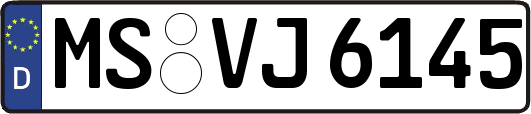 MS-VJ6145