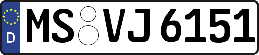 MS-VJ6151