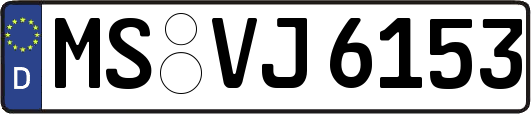 MS-VJ6153