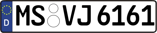 MS-VJ6161