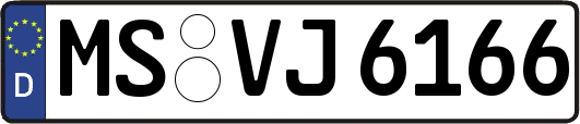 MS-VJ6166