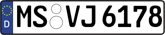 MS-VJ6178