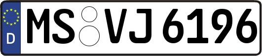 MS-VJ6196