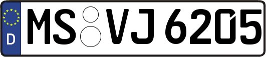 MS-VJ6205