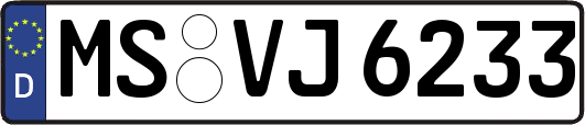 MS-VJ6233