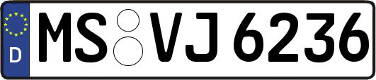 MS-VJ6236