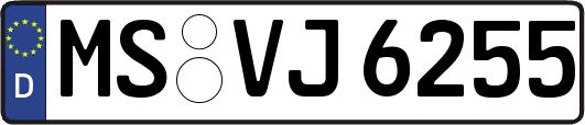 MS-VJ6255