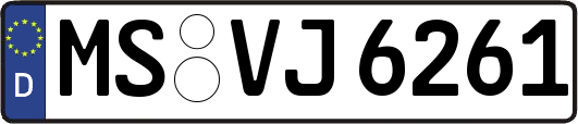 MS-VJ6261