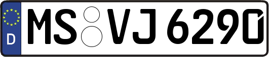 MS-VJ6290
